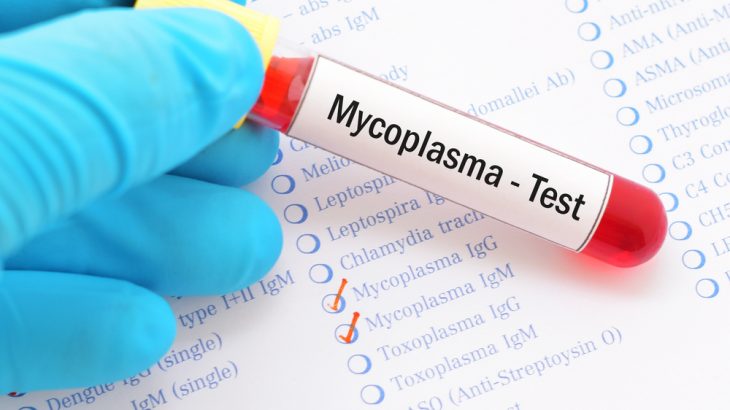 Mycoplasma Test